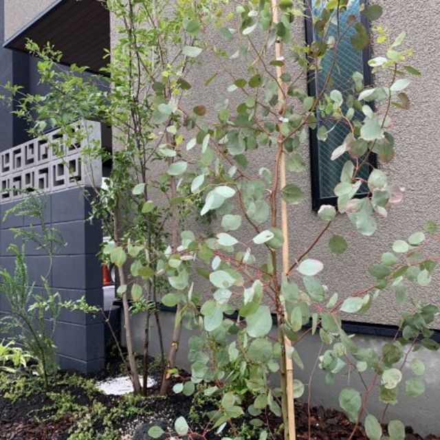 事例の画像